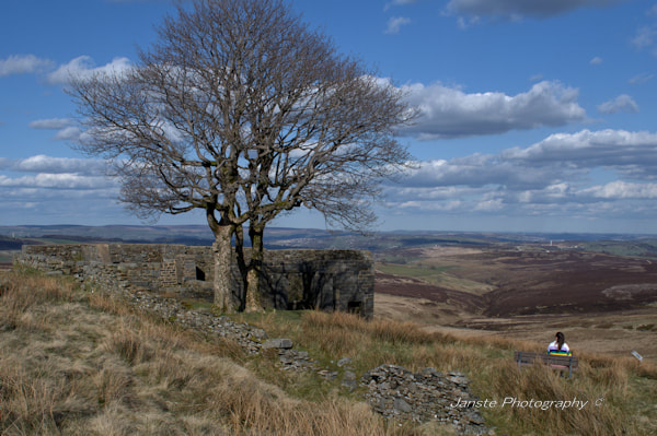 Views from Top Withens - Bronte Country